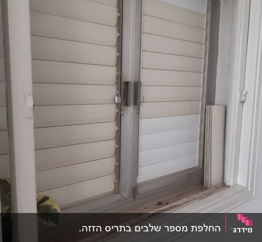 תריסים לבנים עם מסגרת מתכת בחלון